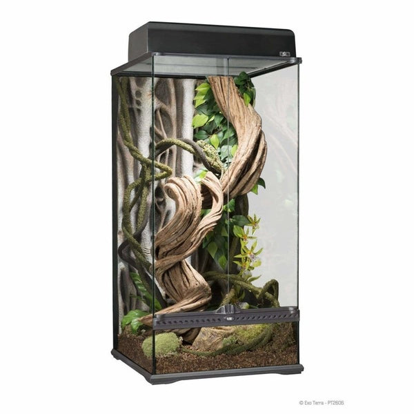 Exo terra sale terrarium accessories