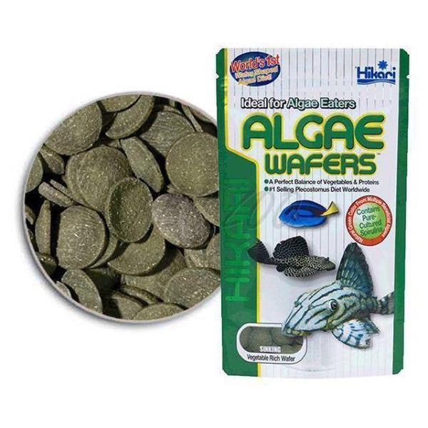 Hikari deals algae wafers