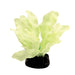 Aqua One  Glow In The Dark Sword Plant 5cm Aquatic Supplies Australia