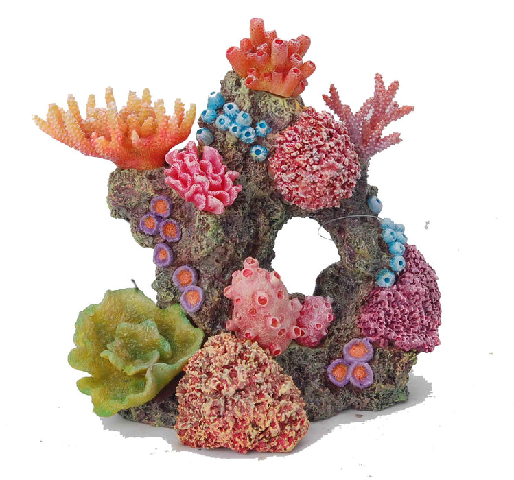 Aquatopia Multicolour Coral