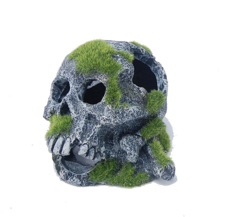 Aquatopia Skull with Moss