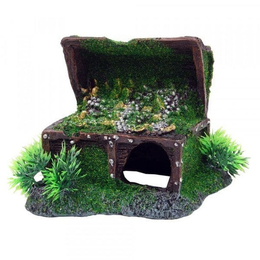 Bioscape Moss Treasure Chest 16 x 14cm Aquatic Supplies Australia