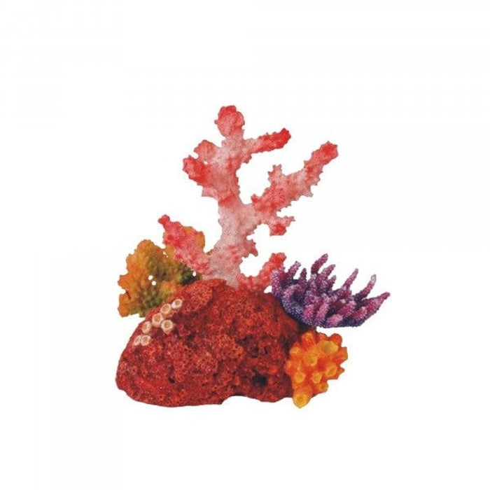 Bioscape Coral Garden 16 x 15cm Aquatic Supplies Australia