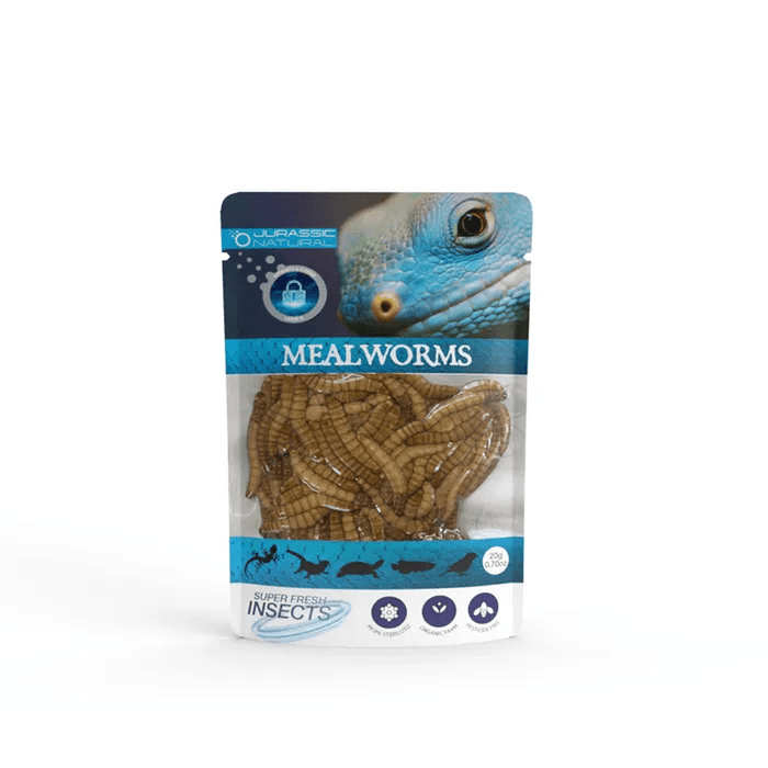 Jurassic Natural Super Fresh Insects Mealworm 20g