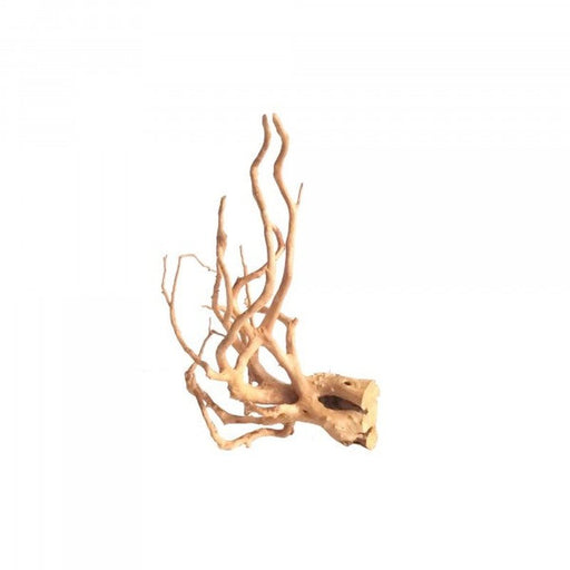 Bioscape Spider Wood Aquatic Supplies Australia