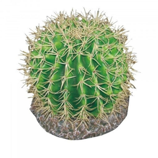 Eco Tech Pineapple Cactus Aquatic Supplies Australia