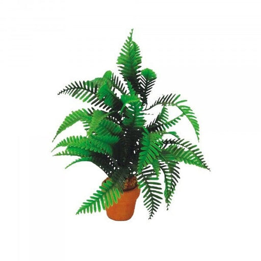 Eco Tech Desert Fern 20cm Aquatic Supplies Australia