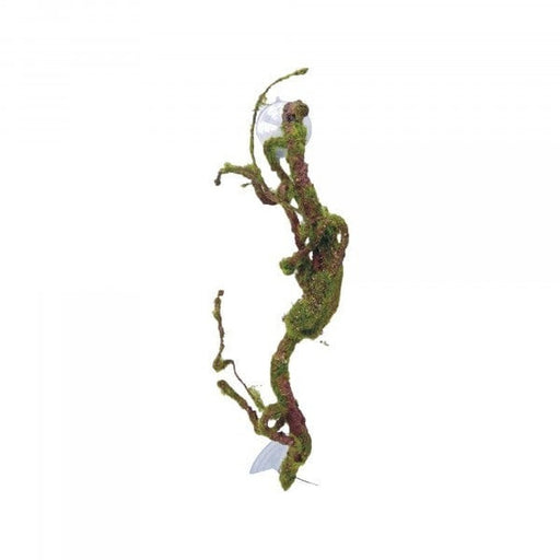 Eco Tech Twisted Vine with Moss Ball 40cm Aquatic Supplies Australia