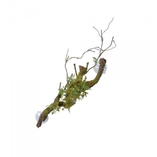 Eco Tech Vine Cluster Moss, Lichen & Abulliton Growths 60cm Aquatic Supplies Australia