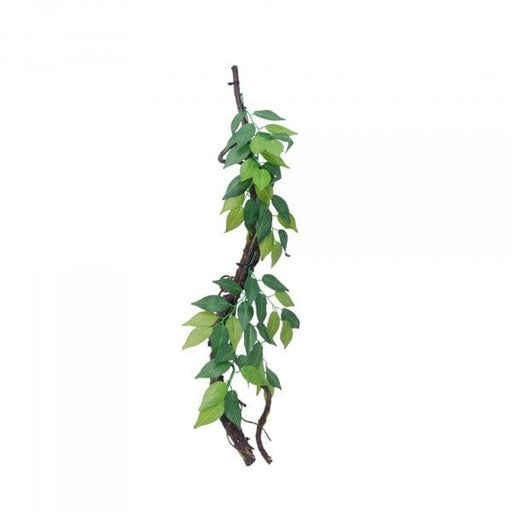 Eco Tech Vine with Ficus Growth Aquatic Supplies Australia