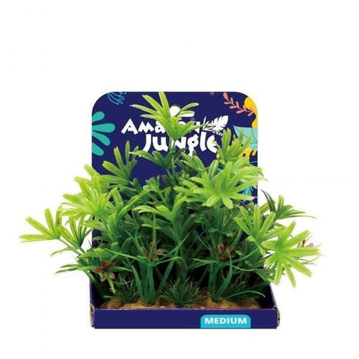 Amazon Jungle 5 Finger Plant Display 15cm Aquatic Supplies Australia