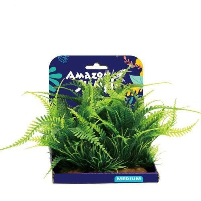 Amazon Jungle Amazon Fern Display 15cm Aquatic Supplies Australia