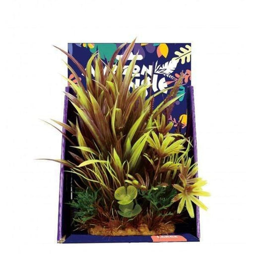 Amazon Jungle Amazon Spike Grass Display 20cm Aquatic Supplies Australia