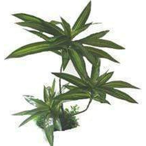 Amazon Jungle Brazilian Palm Plant Aquatic Supplies Australia