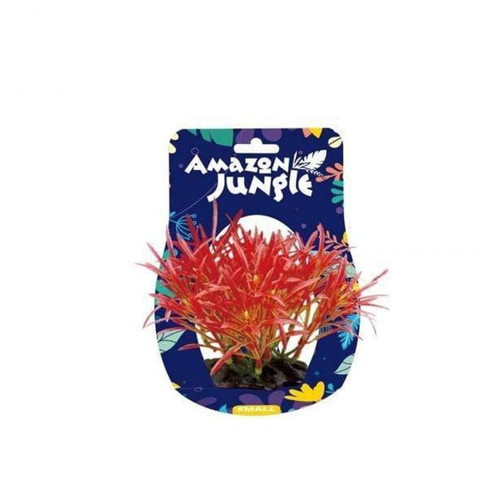 Amazon Jungle Crimson Fan Grass Display 10-12cm Aquatic Supplies Australia