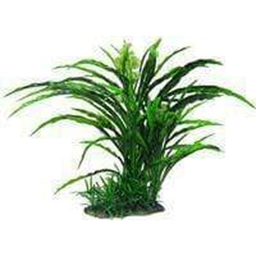 Amazon Jungle Flowering Spinifex Tree Aquatic Supplies Australia