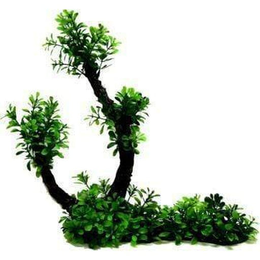 Amazon Jungle Hygro Tree Branch Green Aquatic Supplies Australia