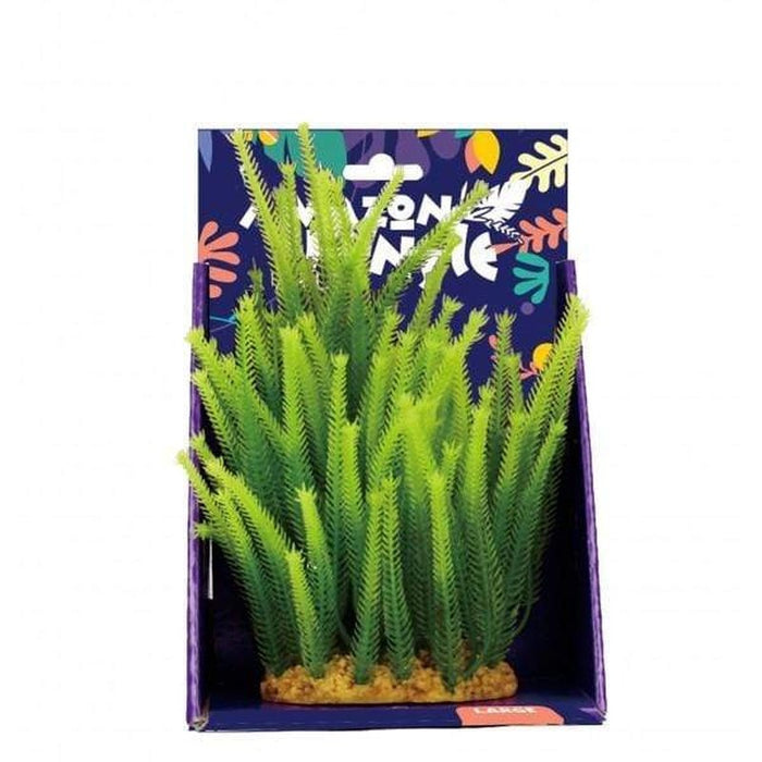 Amazon Jungle Micro Fern Display 20cm Aquatic Supplies Australia