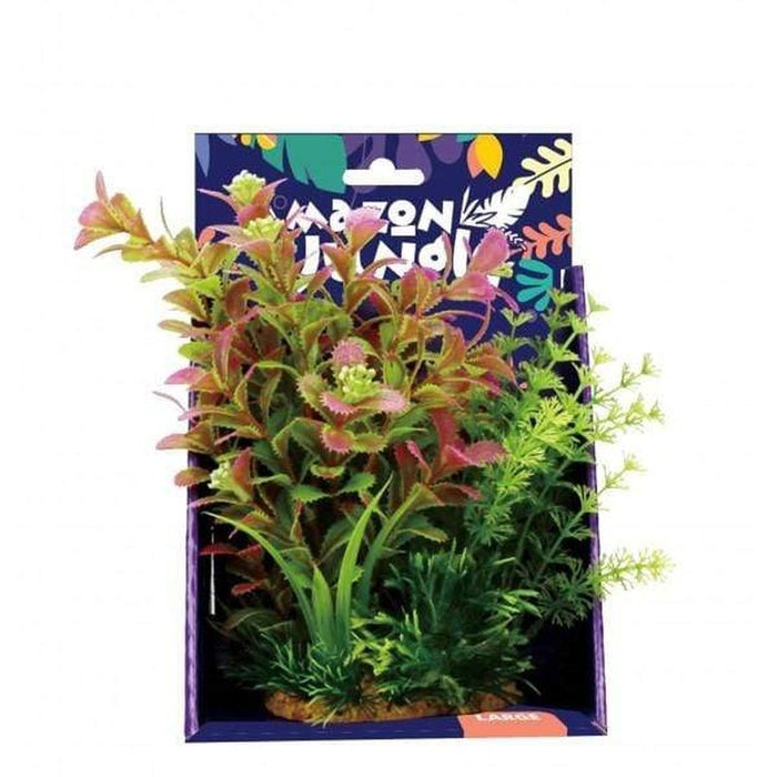 Amazon Jungle Mixed Ludwigia Display 20cm Aquatic Supplies Australia