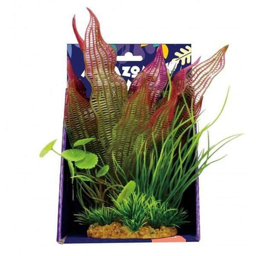 Amazon Jungle Mixed Madagascar Display 20cm Aquatic Supplies Australia