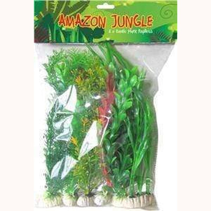 Amazon Jungle Mixed Plants 6 Pack Aquatic Supplies Australia