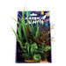 Amazon Jungle Mixed Variety Display 20cm Aquatic Supplies Australia