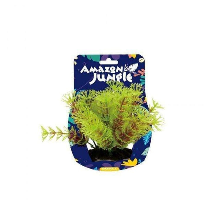 Amazon Jungle Myriophyllum Display 10-12cm Aquatic Supplies Australia