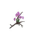 Amazon Jungle Orchid Flowers on Branch 25cm Aquatic Supplies Australia