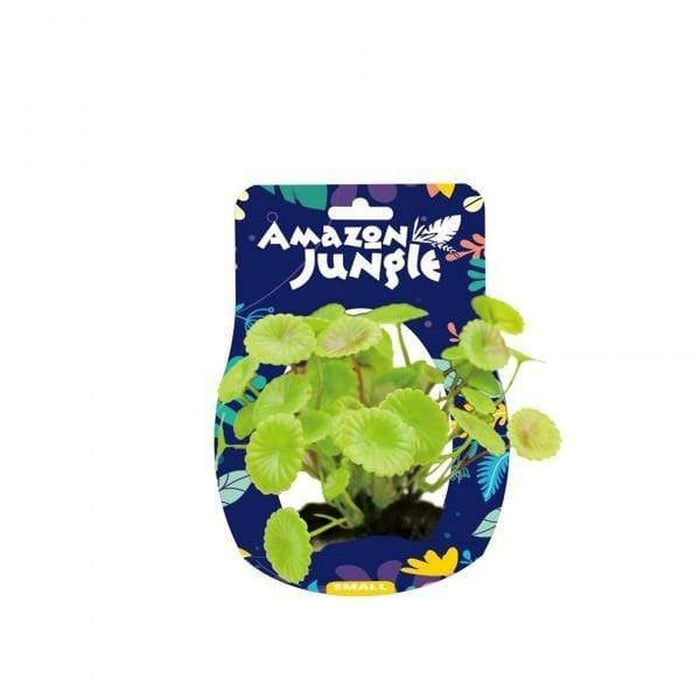 Amazon Jungle Pennywort Display 10-12cm Aquatic Supplies Australia