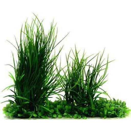 Amazon Jungle Phoenix Grass & Mini Hygro Pad Aquatic Supplies Australia