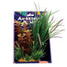 Amazon Jungle Razor Grass Display 20cm Aquatic Supplies Australia