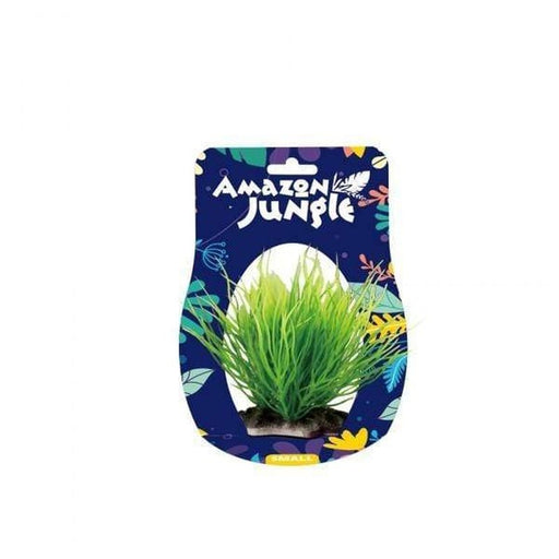 Amazon Jungle Spike Grass Display 10-12cm Aquatic Supplies Australia