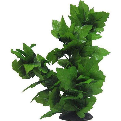 Amazon Jungle Tall Spatophylum Tree Aquatic Supplies Australia