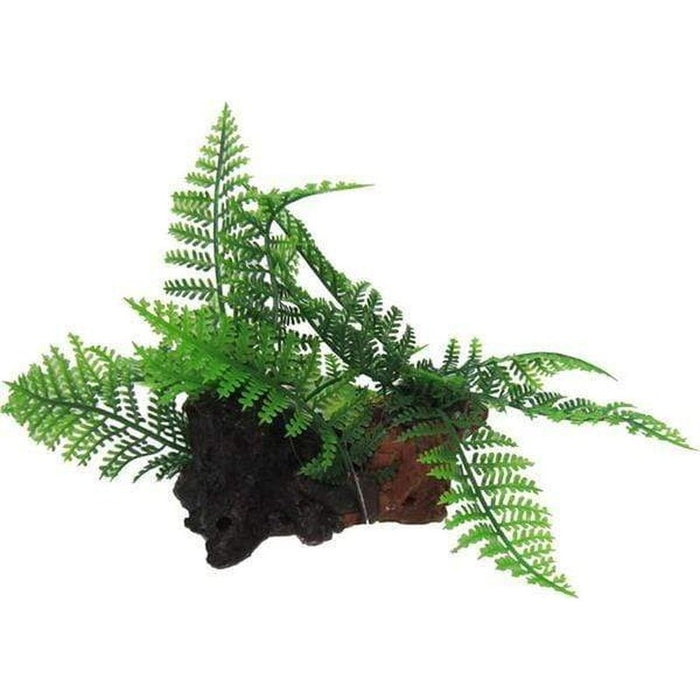 Amazon Jungle Twin Ferns on Log Aquatic Supplies Australia