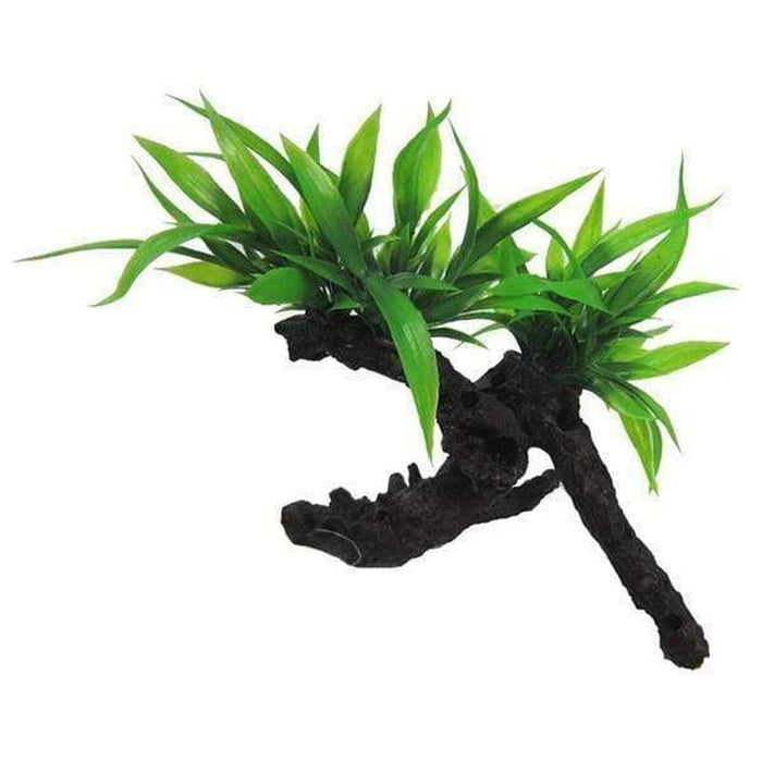 Amazon Jungle Twin Indo Fern on Log Aquatic Supplies Australia