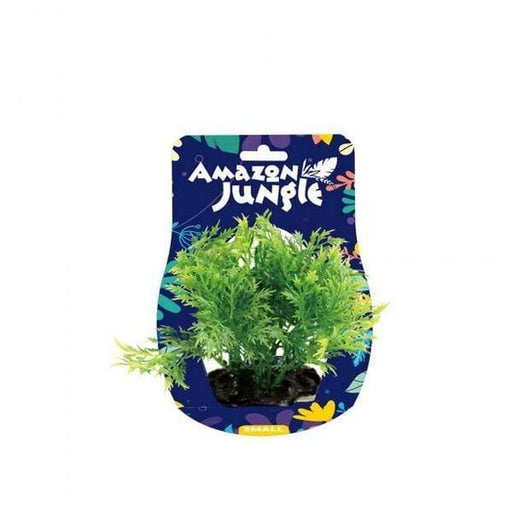 Amazon Jungle Wisteria Bunch Display 10-12cm Aquatic Supplies Australia