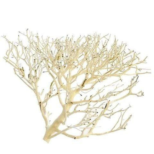 Aqua Natural Coral Wood Aquatic Supplies Australia