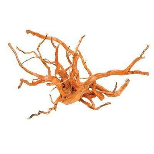 Aqua Natural Gold Vine Aquatic Supplies Australia