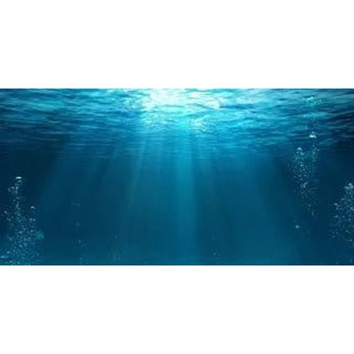 Aqua Natural Underwater Background Aquatic Supplies Australia