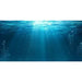 Aqua Natural Underwater Background Aquatic Supplies Australia