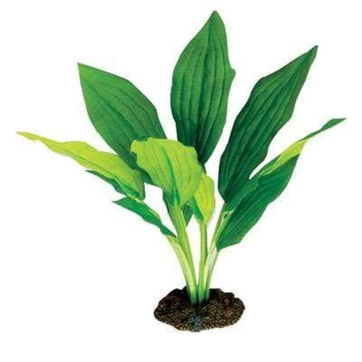 Aqua One Amazon Broad Leaf Silk Plant Aquatic Supplies Australia