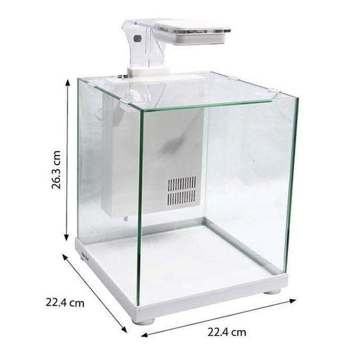 Aqua One Betta Sanctuary Glass Aquarium 10L Aquatic Supplies Australia