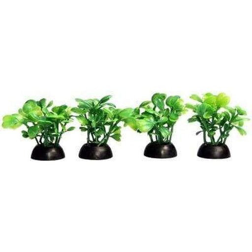 Aqua One Ecoscape Foreground Green Lobelia 5cm 4 Pack Aquatic Supplies Australia