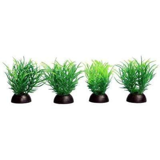 Aqua One Ecoscape Foreground Green Ricca 4 Pack Aquatic Supplies Australia