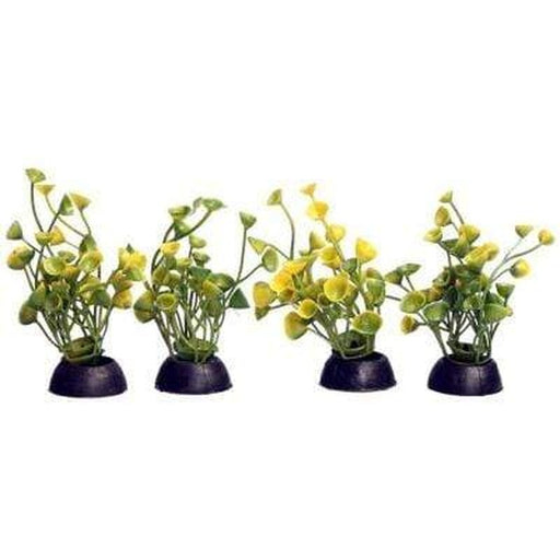 Aqua One Ecoscape Foreground Yellow Ogris Auribus 8cm 4 Pack Aquatic Supplies Australia