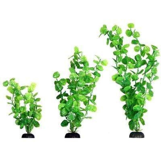 Aqua One Ecoscape Green Cardamine Aquatic Supplies Australia