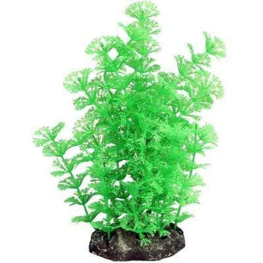 Aqua One Ecoscape Medium Green Ambulia 20cm Aquatic Supplies Australia