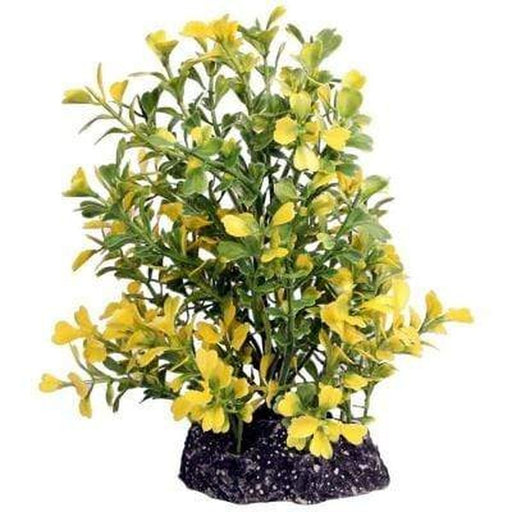 Aqua One Ecoscape Medium Yellow Japanese Box 20cm Aquatic Supplies Australia