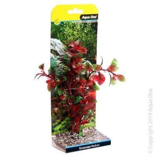 Aqua One Ecoscape Red Hygro Aquatic Supplies Australia