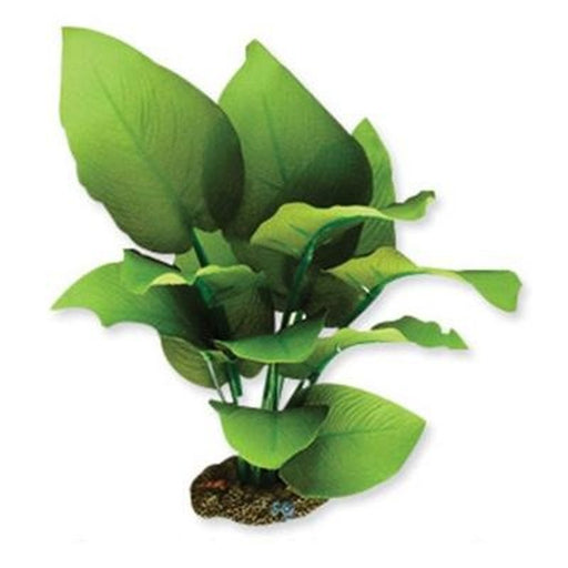 Aqua One Radican Green Sword Silk Plant Aquatic Supplies Australia